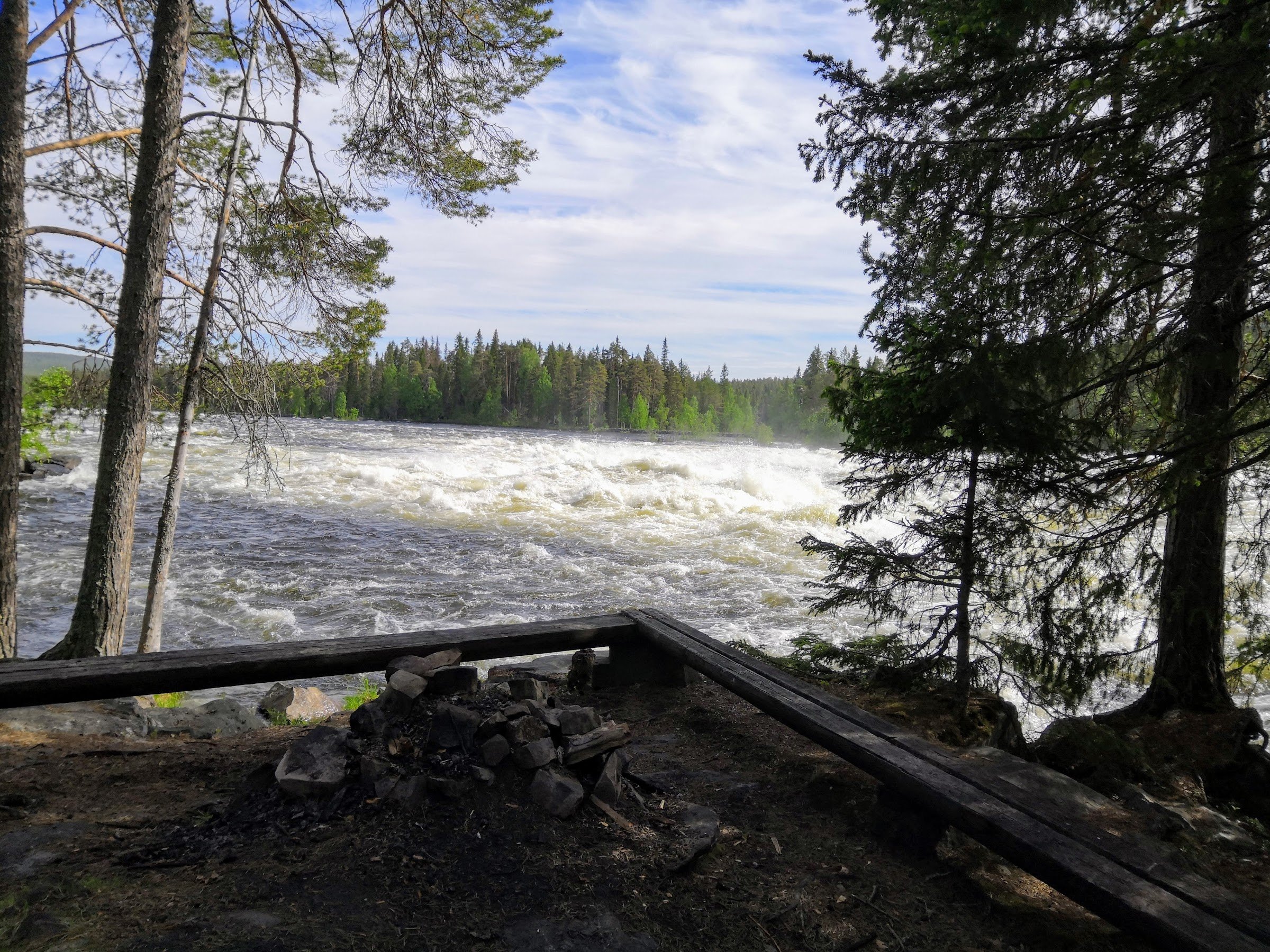 Mårdseleforsens naturreservat